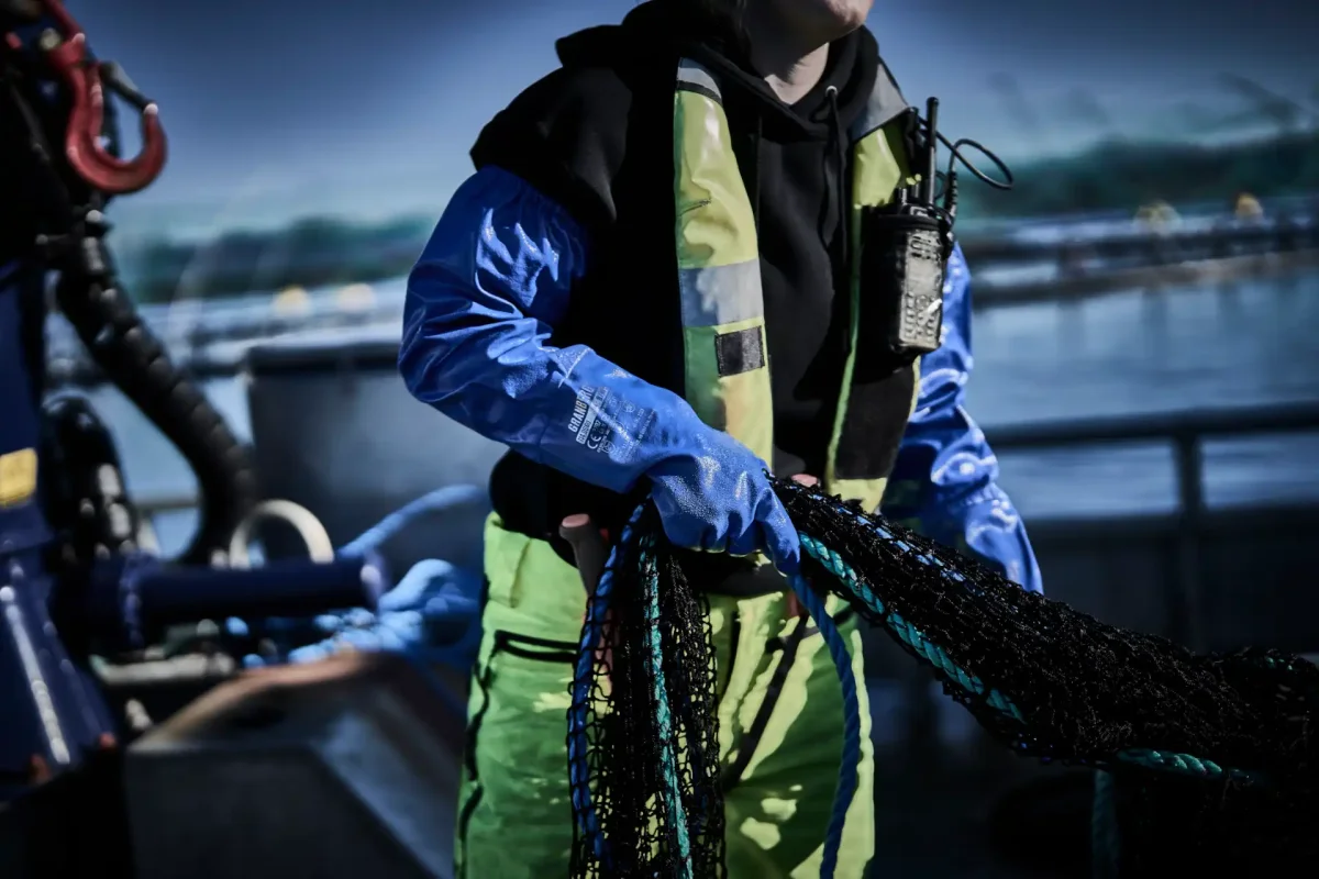 GRANBERG 0660W varma kemikalieresistenta nitrilhandskar - Bild 6