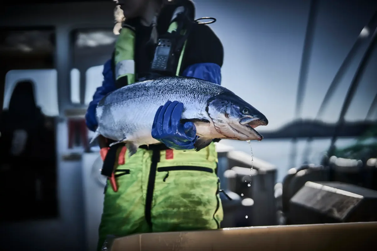 GRANBERG 0660W varma kemikalieresistenta nitrilhandskar - Bild 4