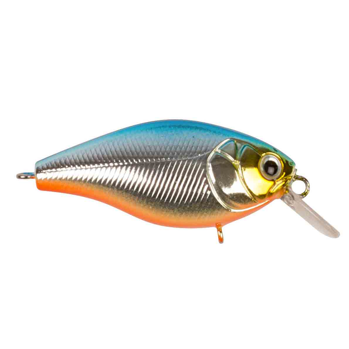 Cranky X 5 cm Shallow - Bild 3