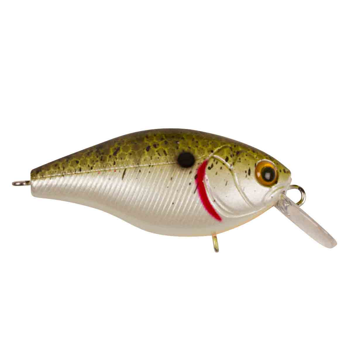 Cranky X 5 cm Shallow - Bild 9