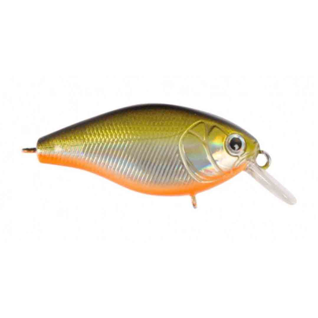 Cranky X 5 cm Shallow - Bild 2